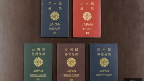 王楚钦独揽亚洲杯乒乓球男单冠军，队友悉数失利